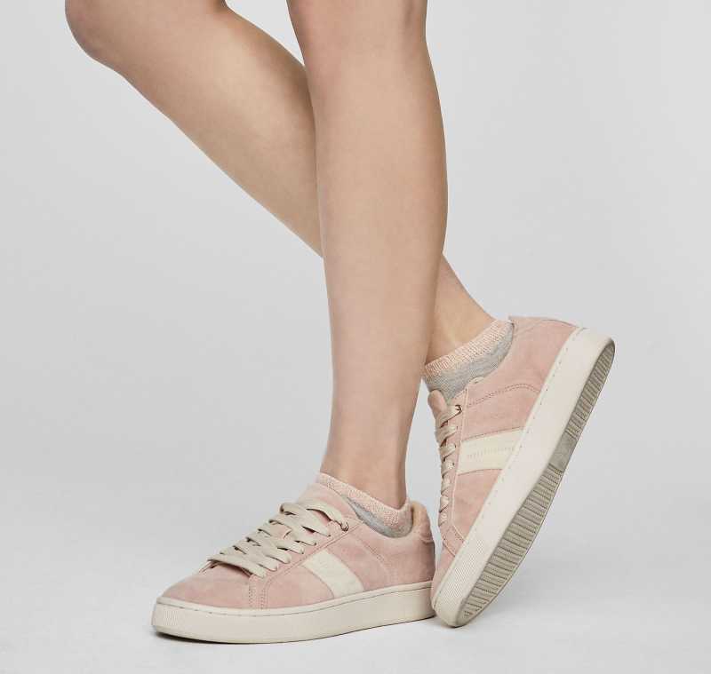 Basket rose