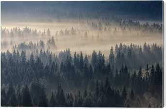 tableau plexiglass coniferous forest in foggy mountains