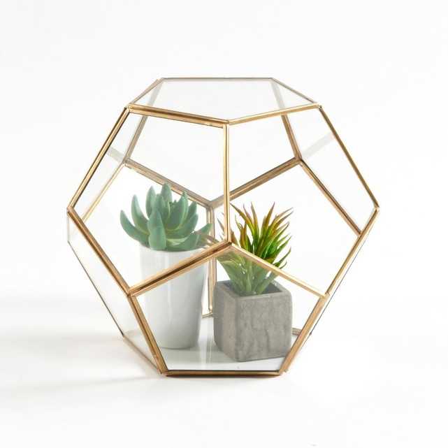 terrarium