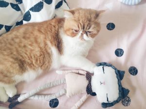 blog maman