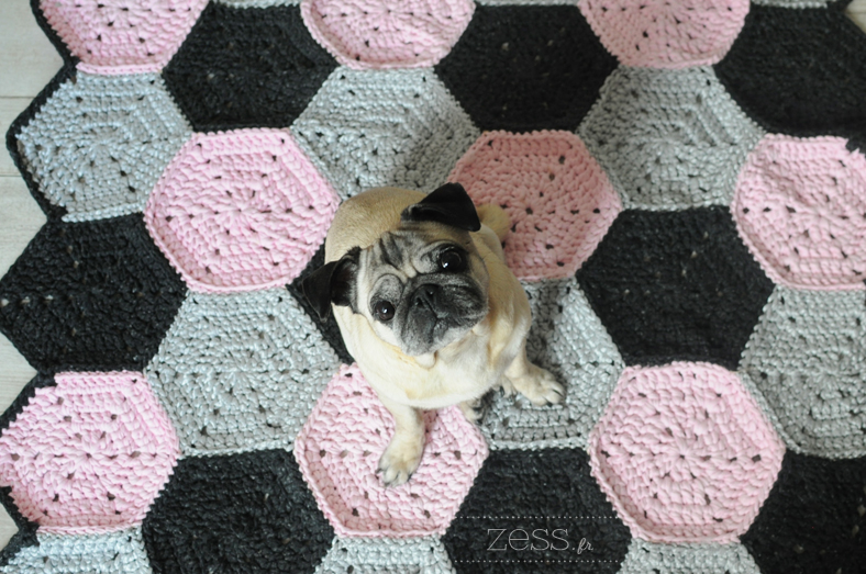 rug pug carlin diy 