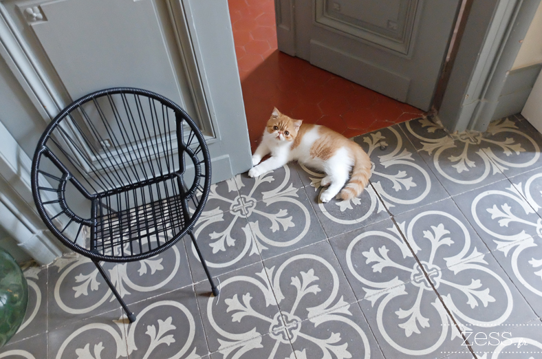 carreaux de ciment appartement haussmanien chaton