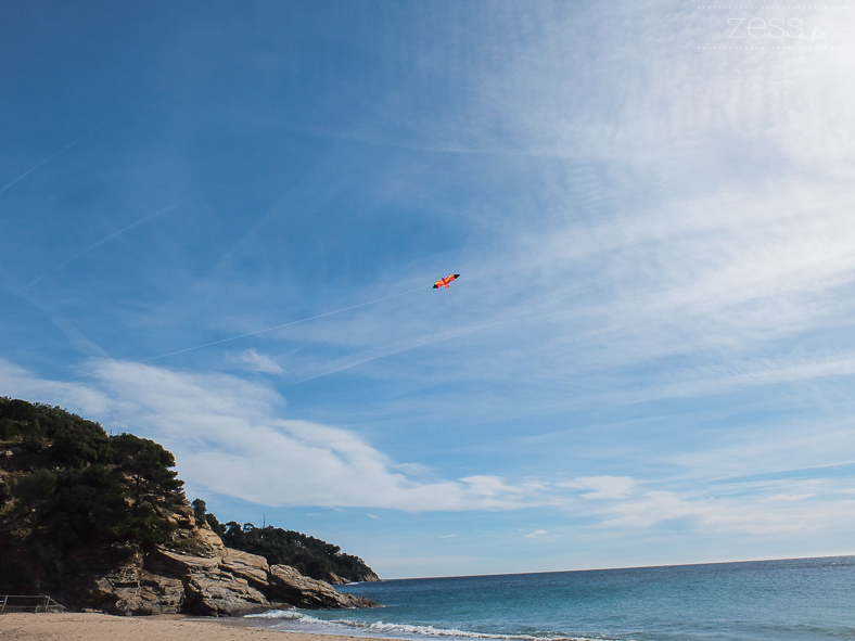 plage cerf volant