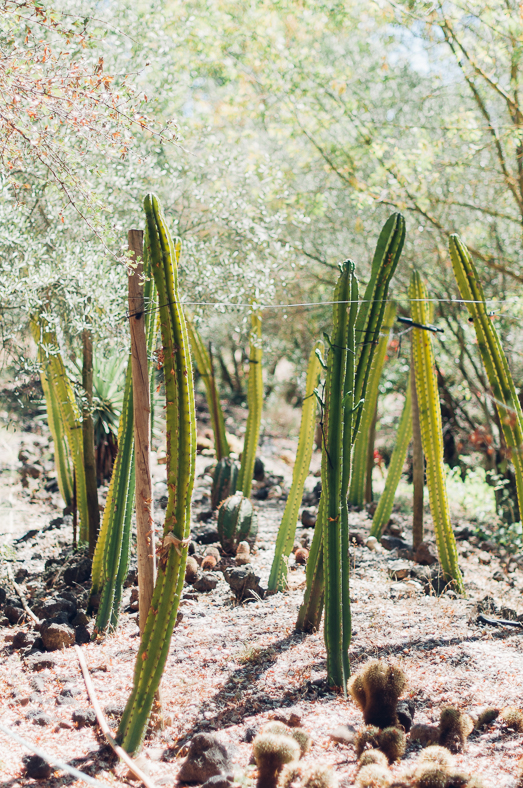 parc au cactus - blog maman