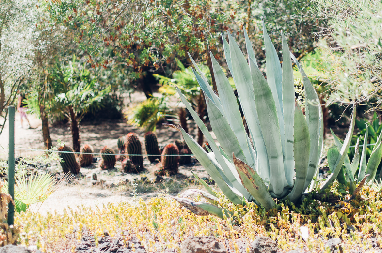 parc au cactus - blog maman