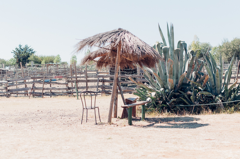 parc au cactus - blog maman