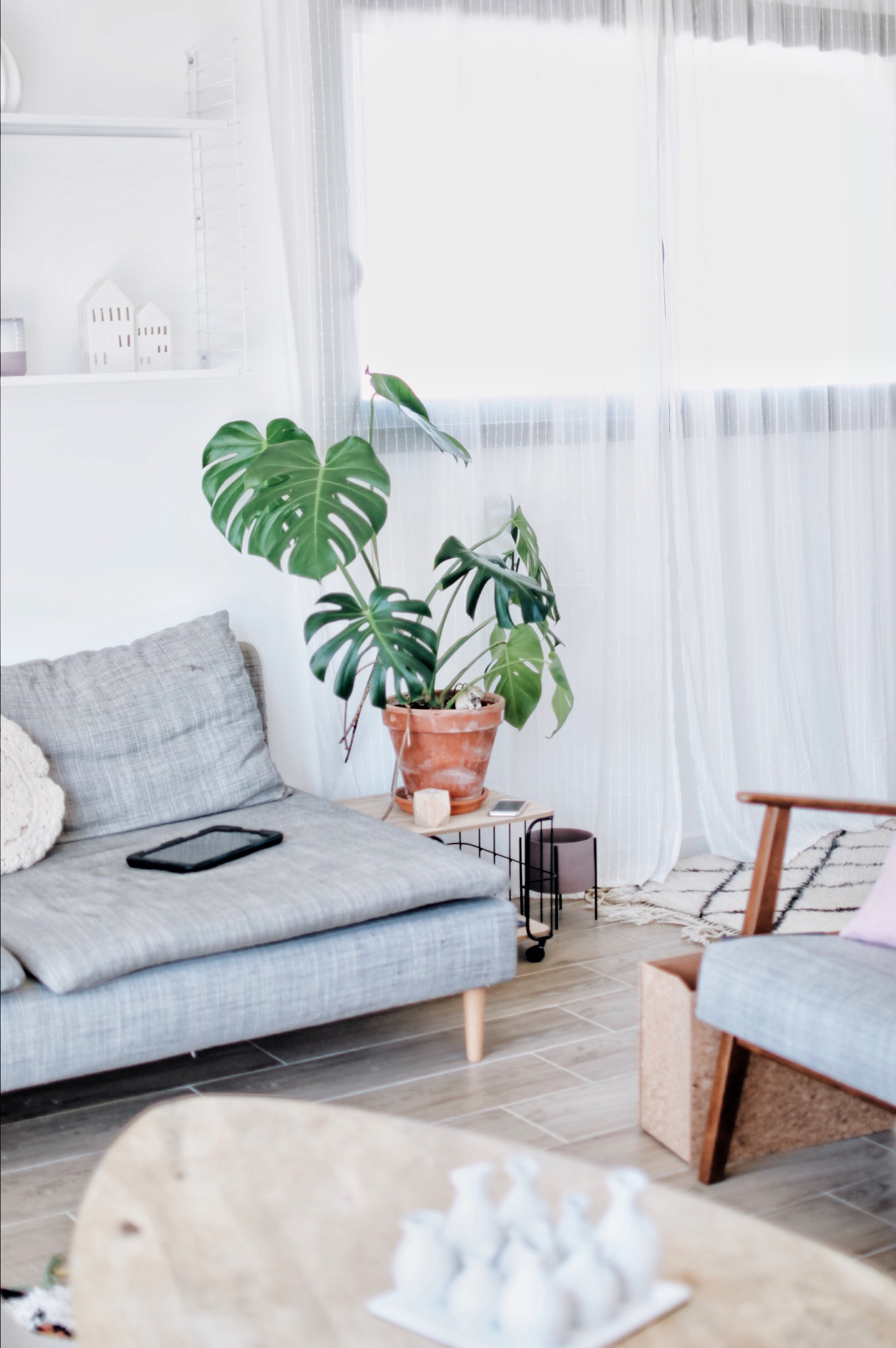 deco monstera home