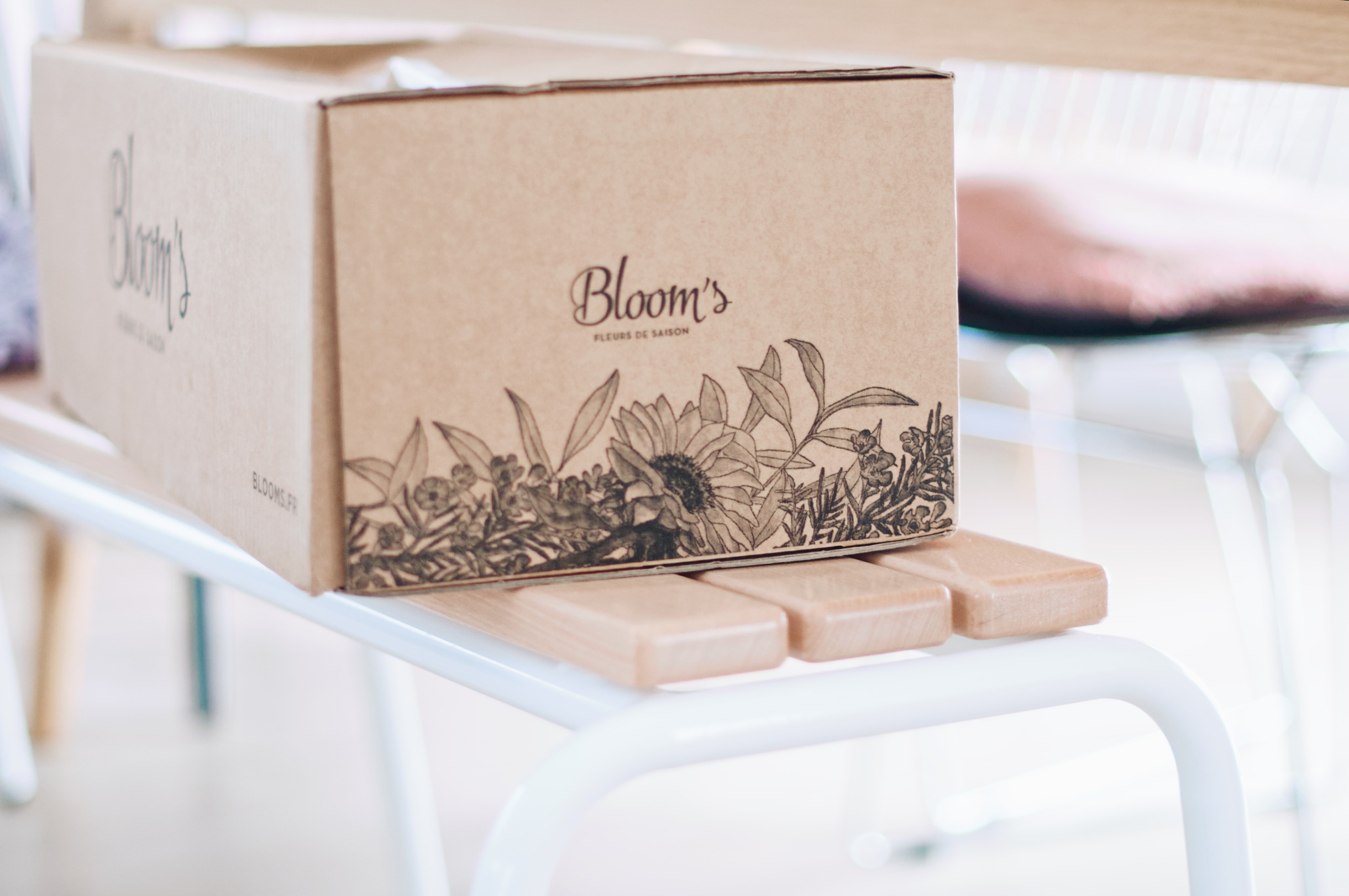 box bloom's