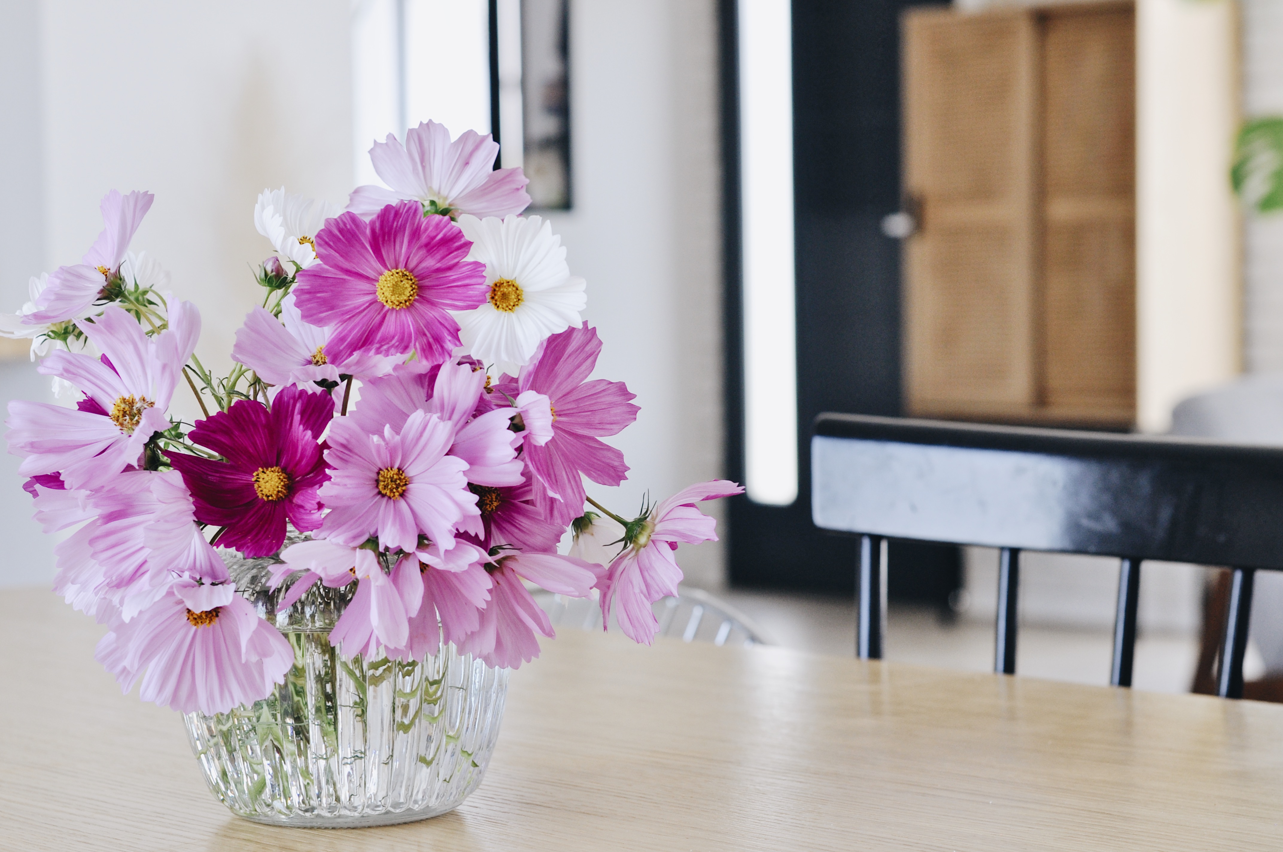 bouquet cosmos