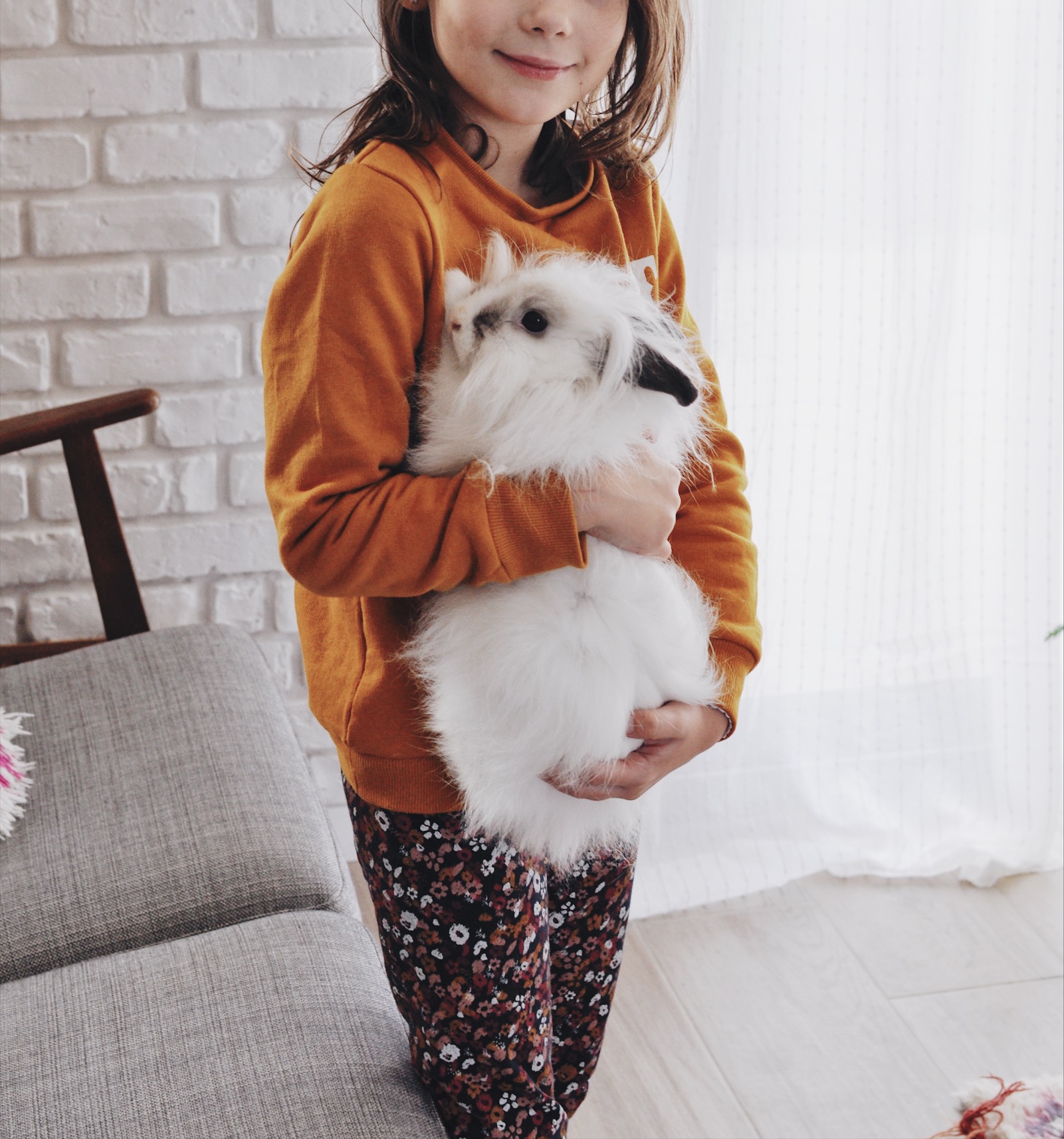 adopter un lapin conseil