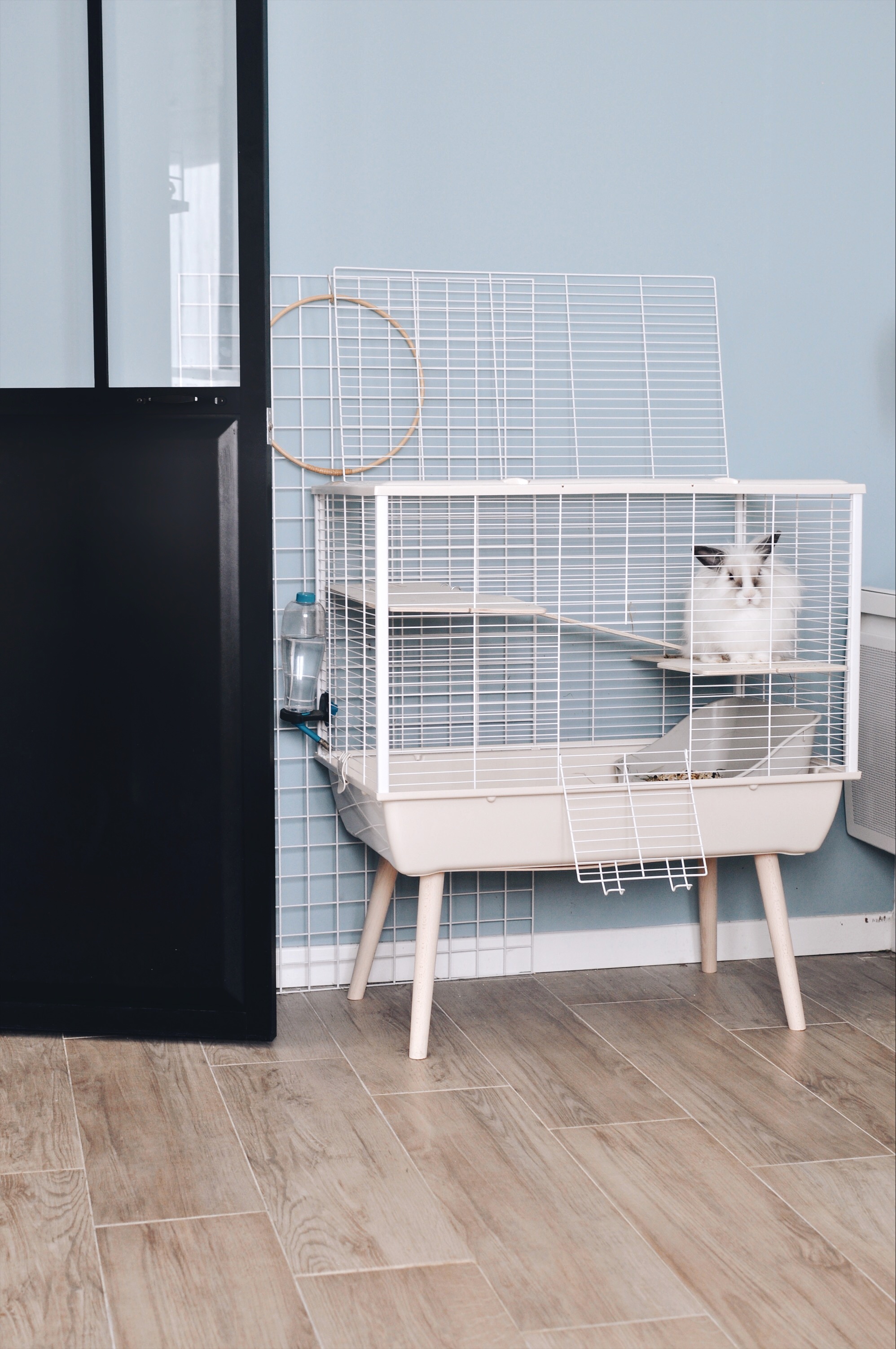 cage design lapin cochon d'inde 