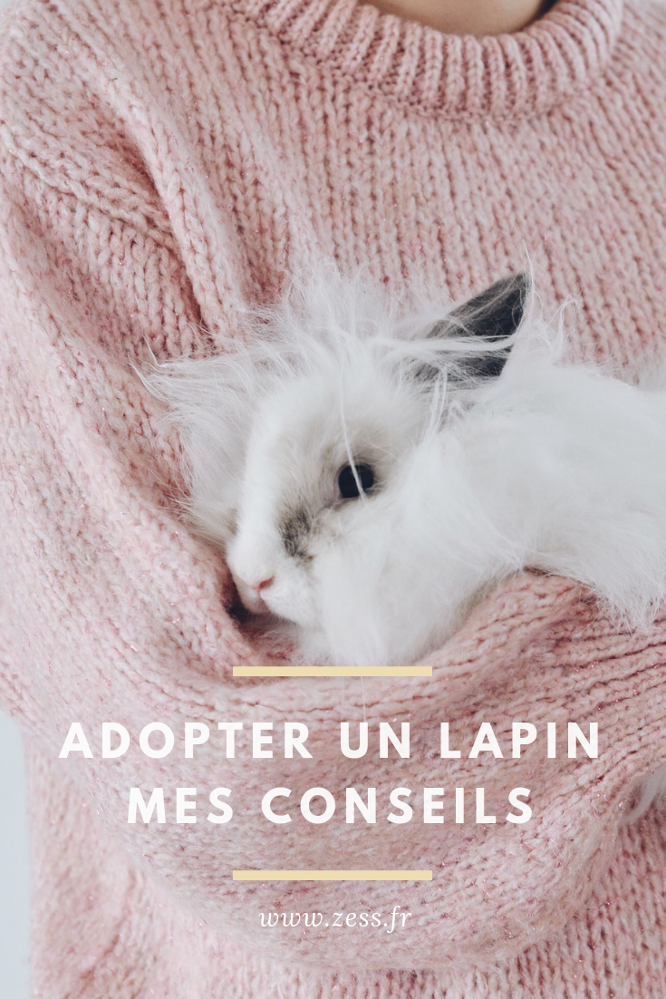 adopter et vivre avec un lapin conseils