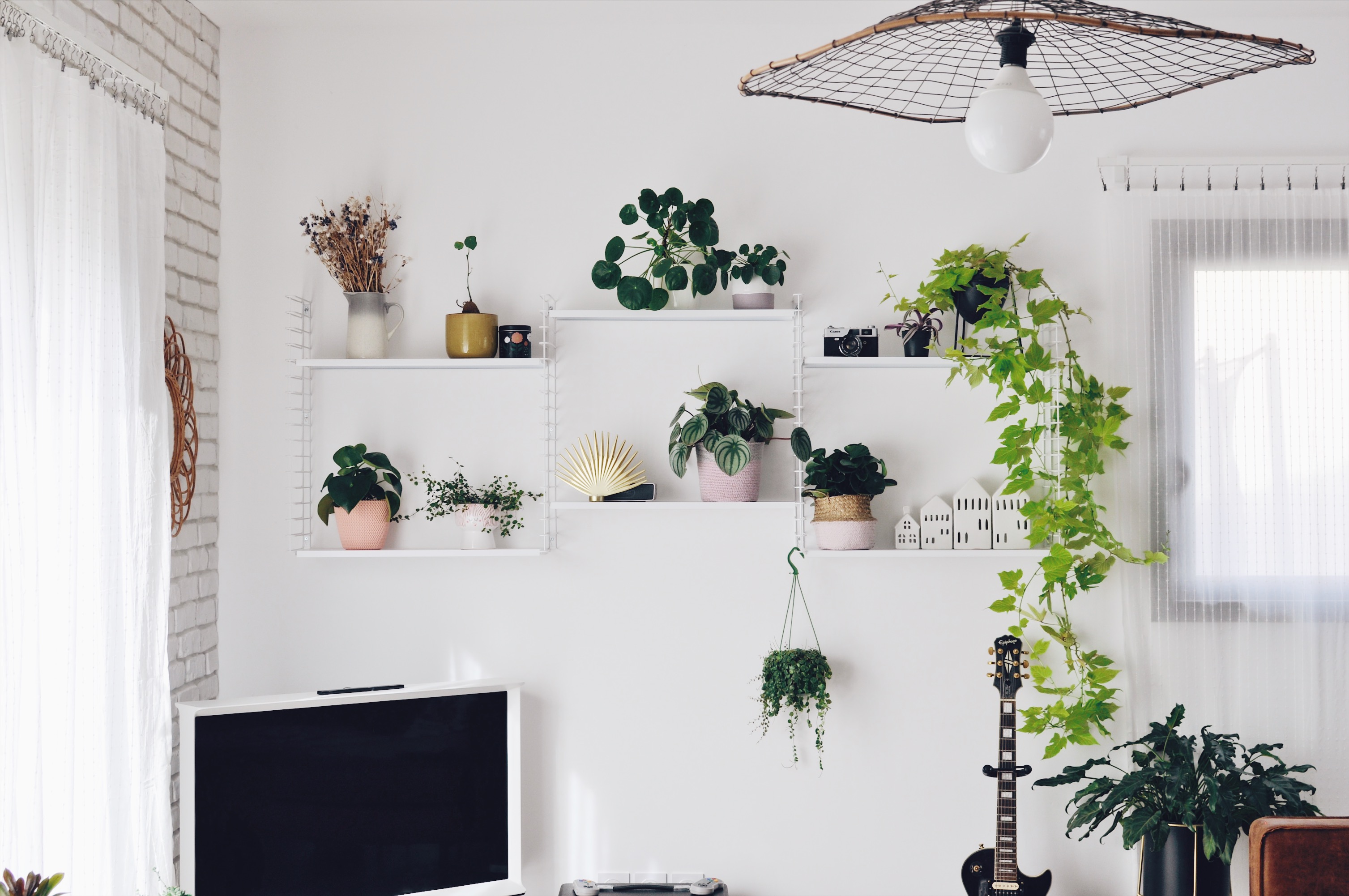 shelfie plantes étagère 