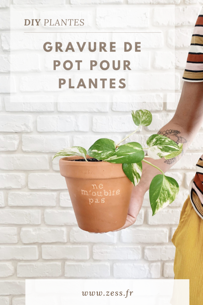 diy gravure de pot pour plantes