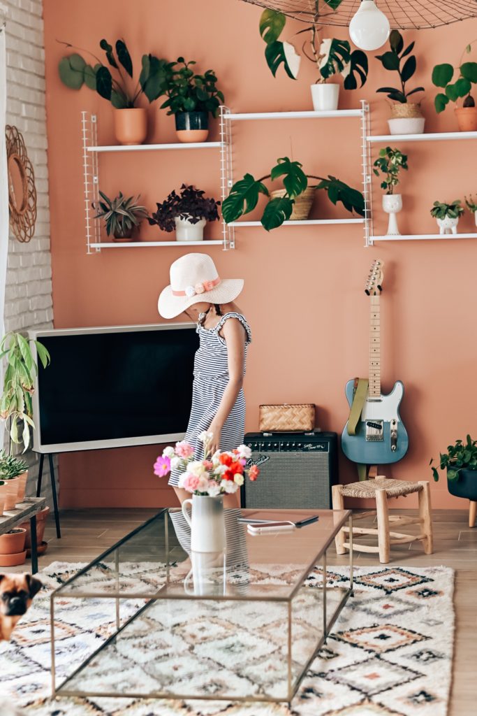 peinture mur rose deco et plantes