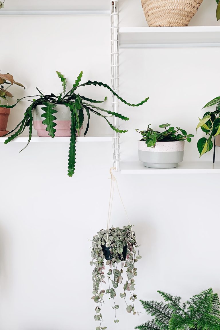 diy pot en terre cuite relookés