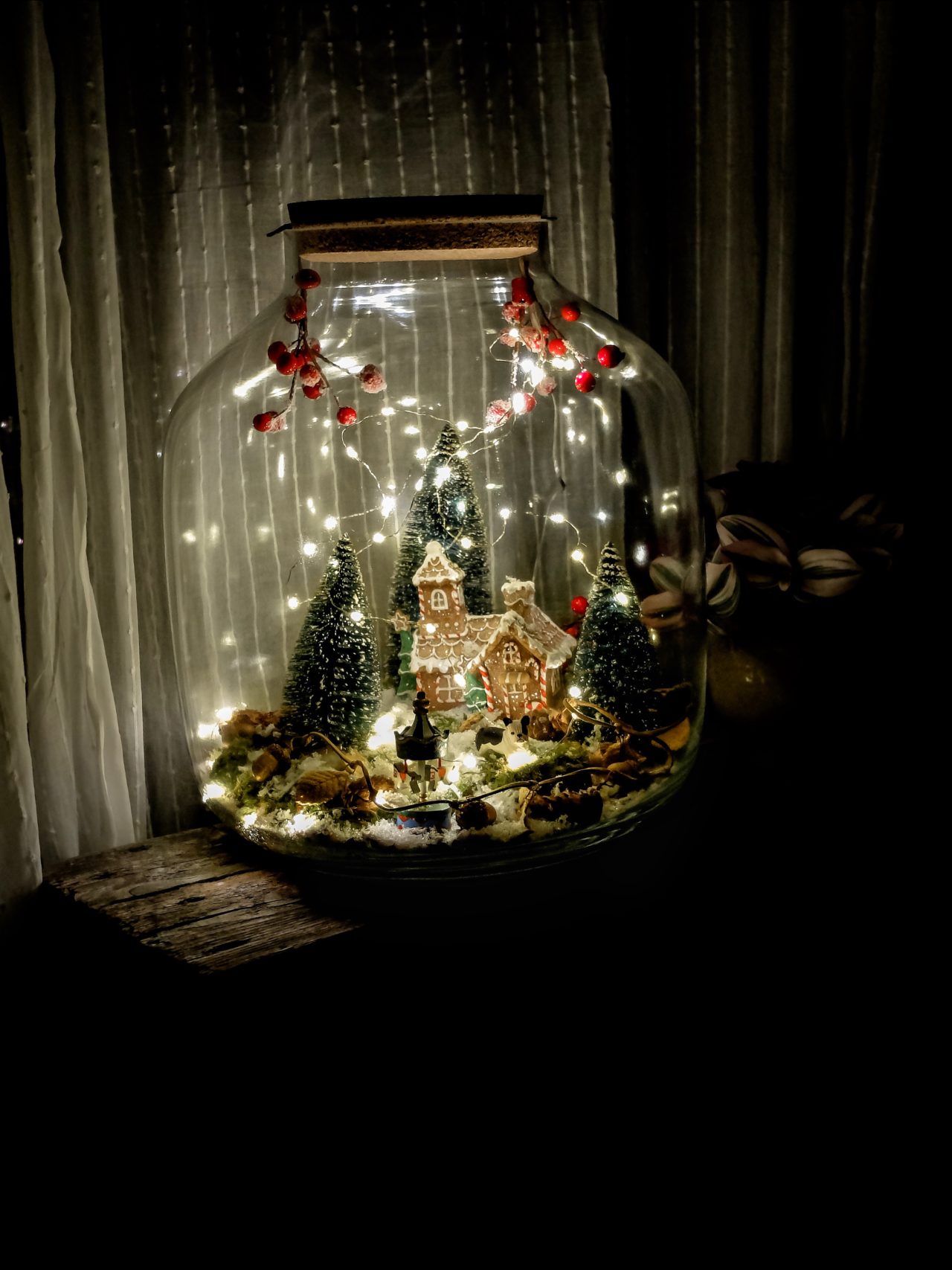 noelarium terrarium noel