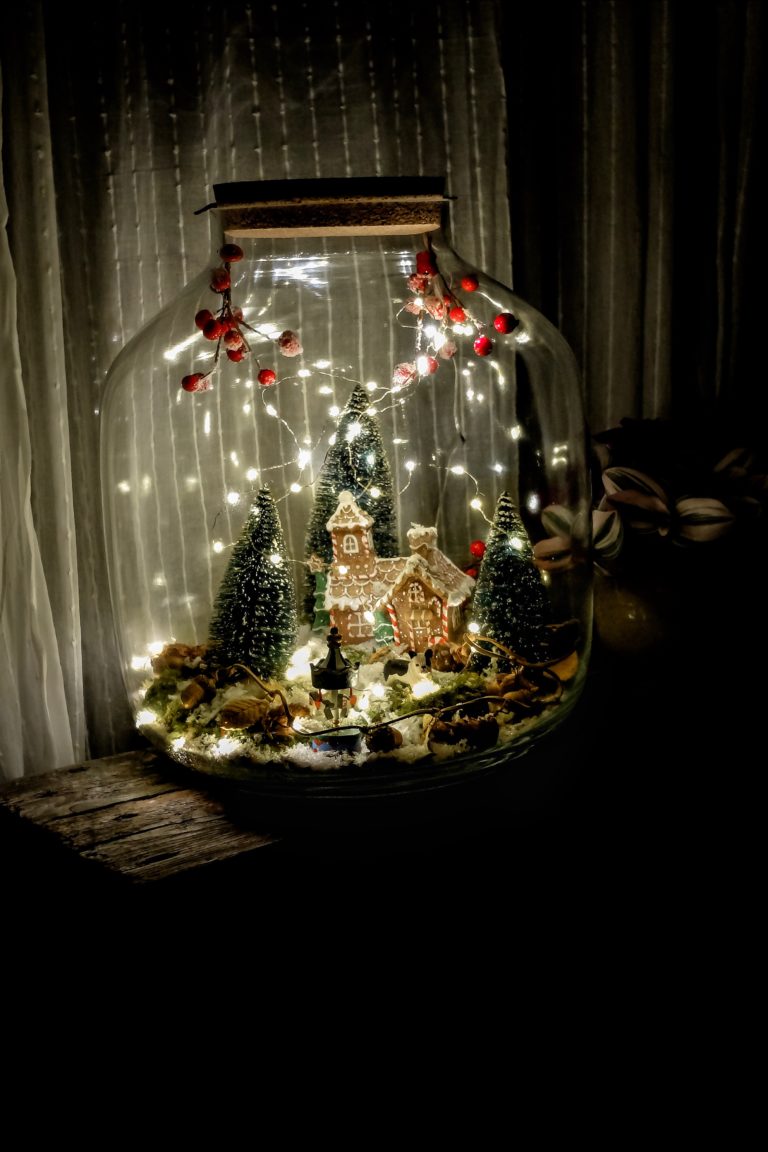 noelarium terrarium noel