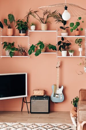 deco peinture mur rose salon